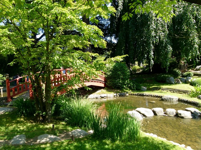 Japanese Garden with Red Bridge and Pond