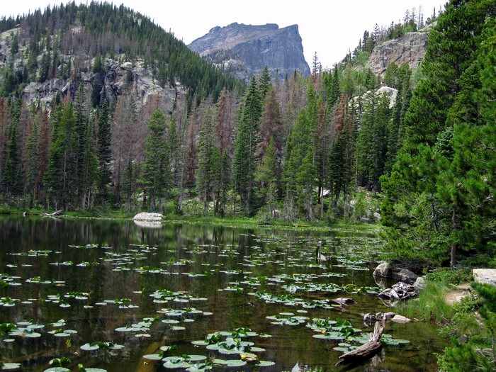 Cub Lake Rocky Mountain National Park Colorado