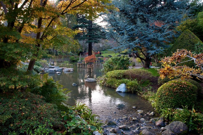 Japanese garden with pond and trees in autumn