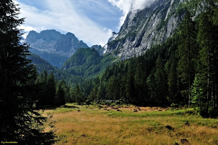 Mountains and forest valley with rocky peaks
