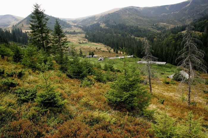 Mountain valley with scattered wooden structures and evergreen trees