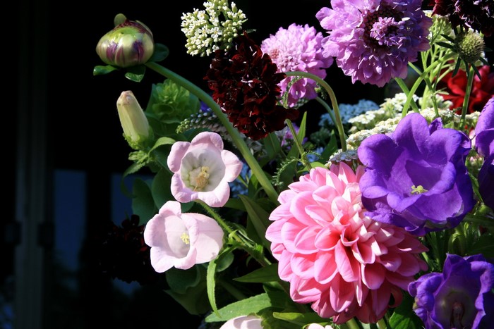 Bouquets