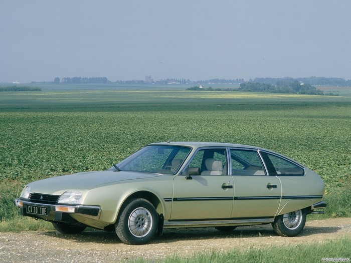 Citroen CX 20 TRE car in a field