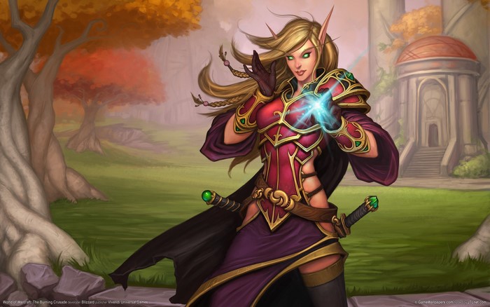 Blood Elf Mage from World of Warcraft