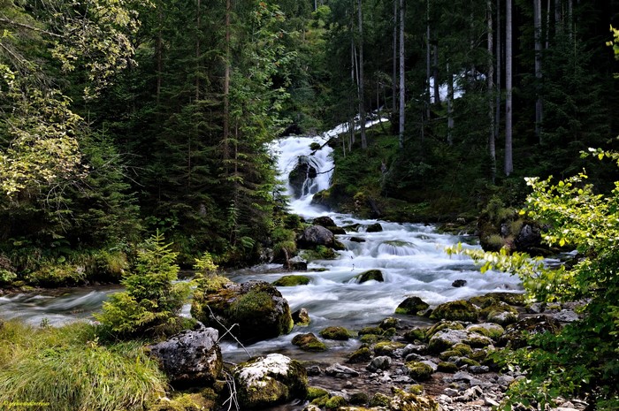 Waterfall in a dense forest