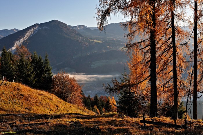 Autumn mountain landscape with fog in the valley
