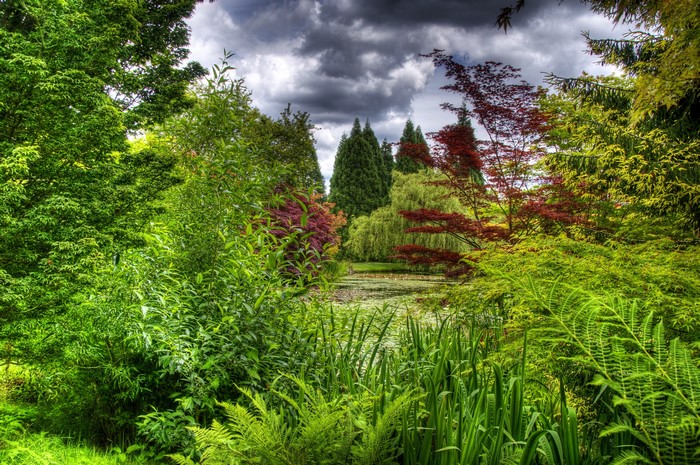 A tranquil garden with a pond and lush greenery