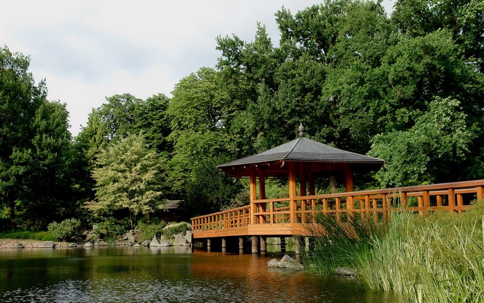 Japanese Garden with Gazebo and Pond in Wroclaw, Poland