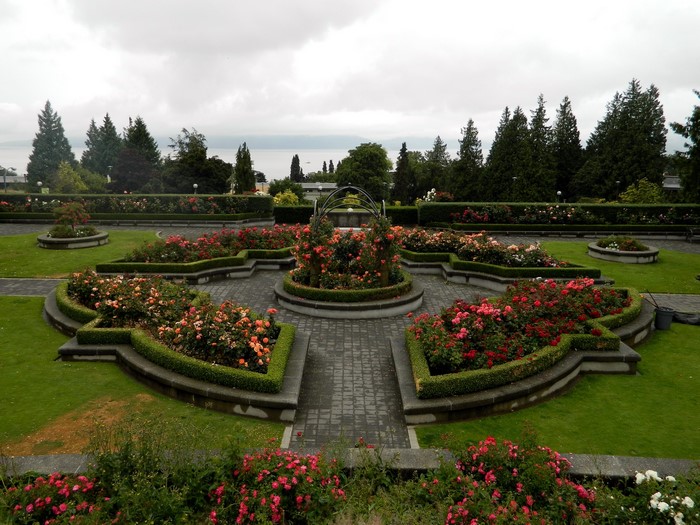 Rose Garden with Water View