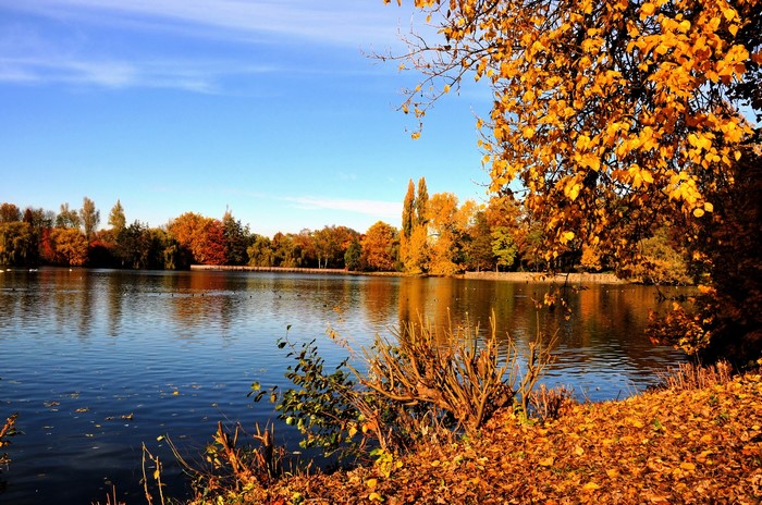 Autumn lake with colorful trees and blue sky