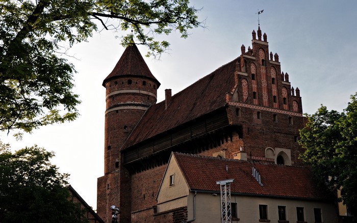 Brick castle with a round tower and trees