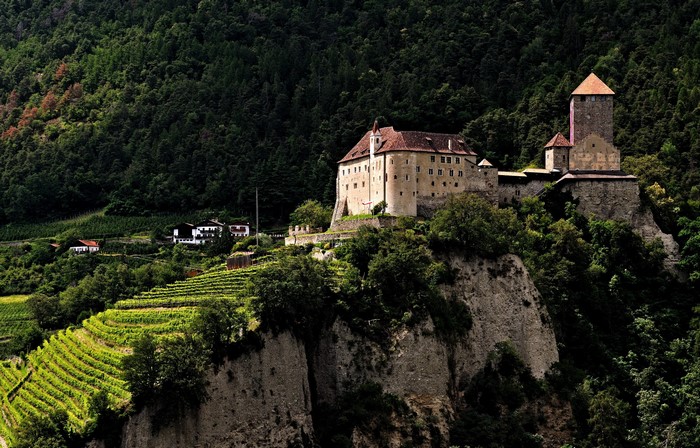 Castle on a cliffside with vineyards
