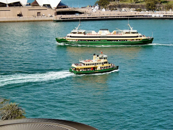 Sydney Ferries sailing in the harbor