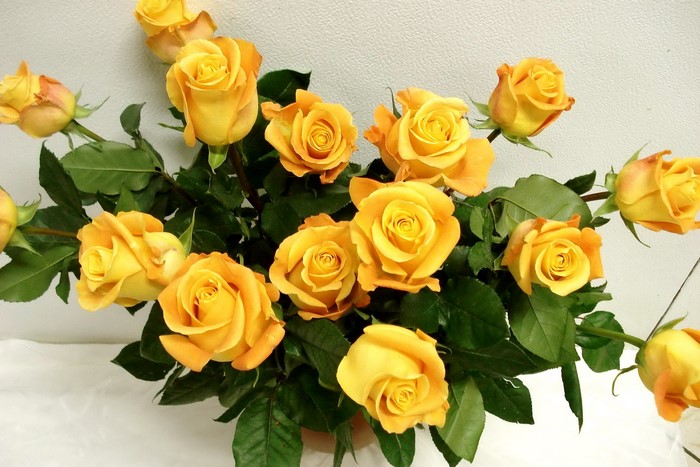 A bouquet of yellow roses