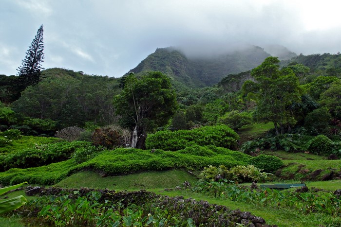 Limahuli Garden and Preserve, Kauai, Hawaii