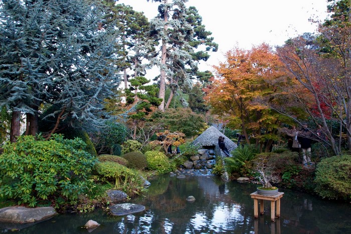 Japanese garden with pond and autumn foliage