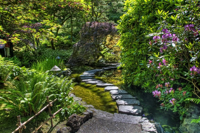 Japanese garden with stepping stones and flowers