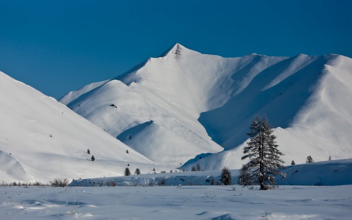 Snowy mountains under a clear blue sky