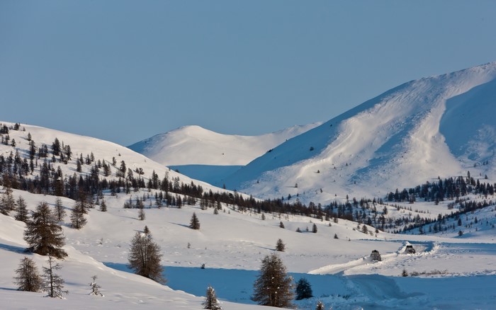 Snowy mountains with trees and vehicles