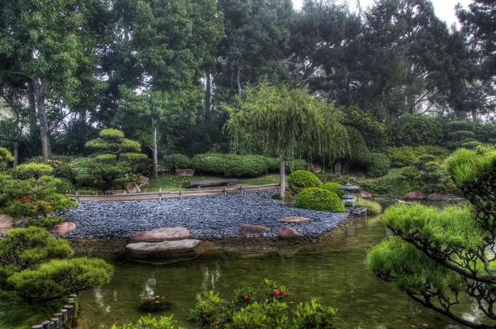 Japanese Garden with Pond and Trees