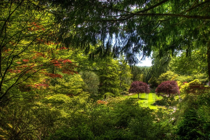 Beautiful garden with trees and manicured lawn