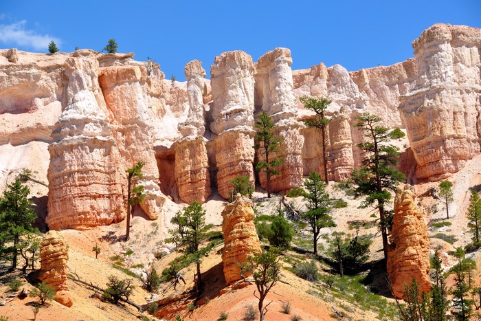 Bryce Canyon National Park, Utah, USA