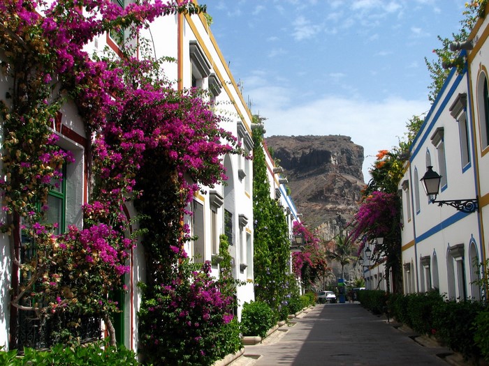 Street with white buildings and bougainvillea in Spain