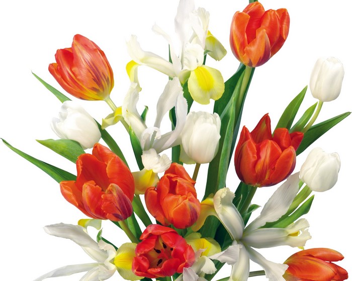 Bouquet of Tulips and Irises