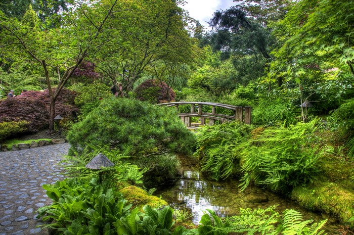 Japanese Garden with Wooden Bridge and Stream