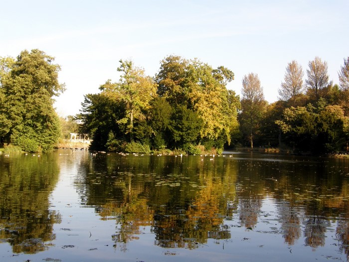 Park with a lake and trees