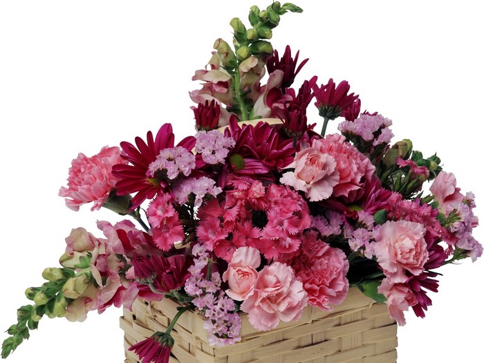 Pink and red flowers in a basket