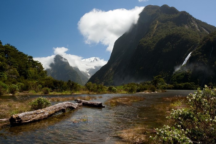 Mountains and lake with fallen log in New Zealand