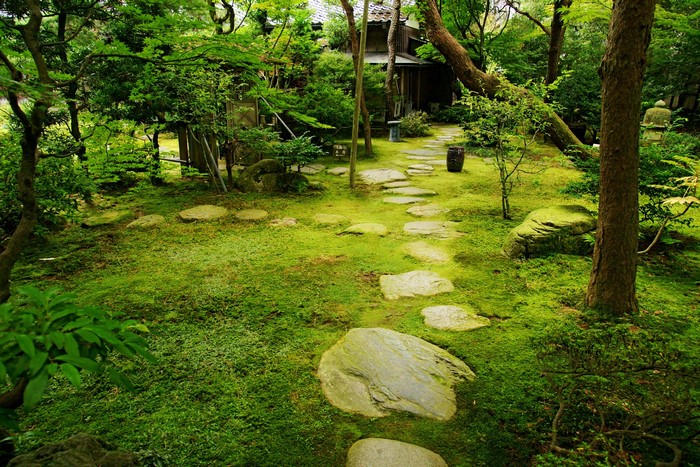 Japanese Garden in Kanazawa, Japan