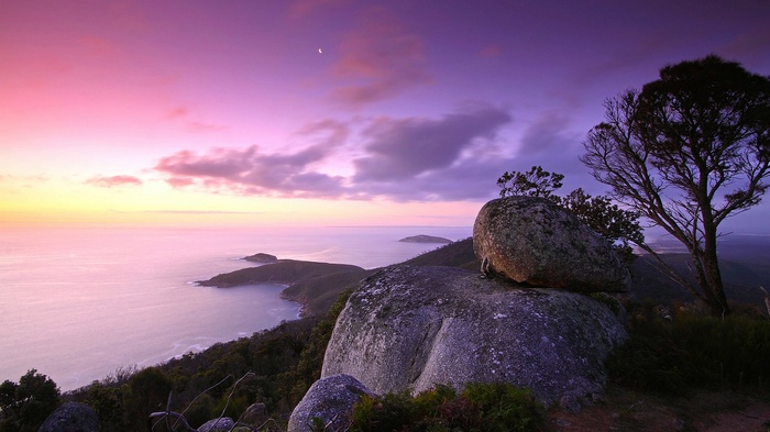Sunset over ocean with rocky foreground and tree