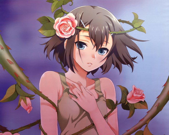Akihisa Yoshii from Baka and Test