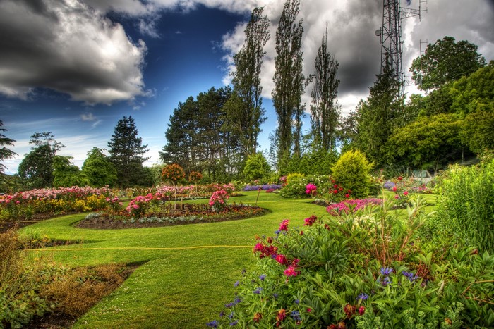 Beautiful garden with blooming flowers and trees