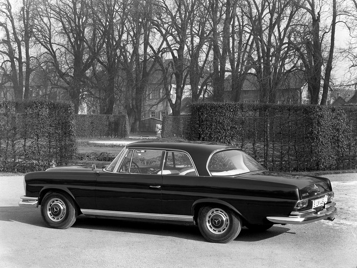 Black Mercedes-Benz Coupe in a Garden