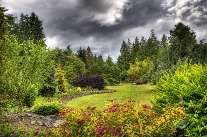 A beautifully landscaped garden with a manicured lawn and diverse trees.
