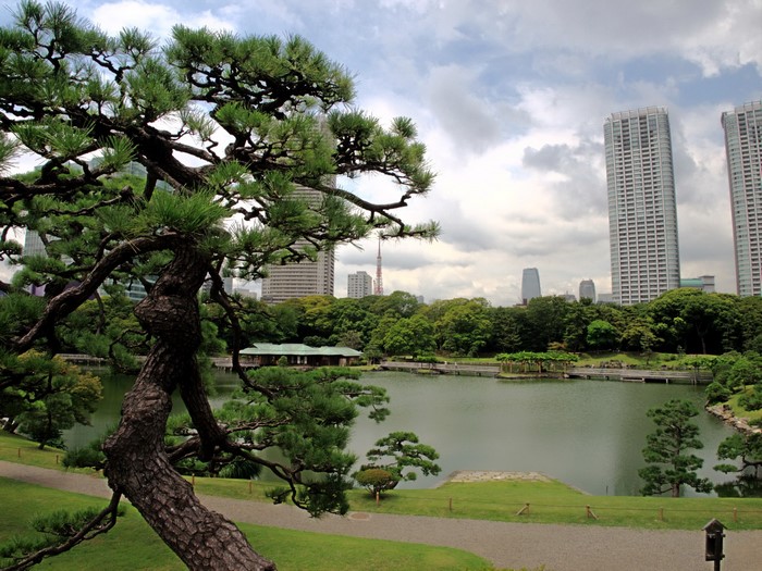 Garden with lake and skyscrapers in Tokyo