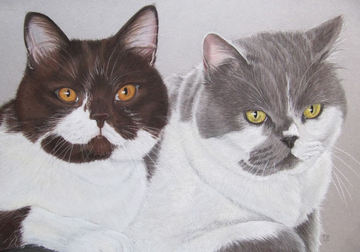 Two cats, one brown and white, one gray and white, painted portrait