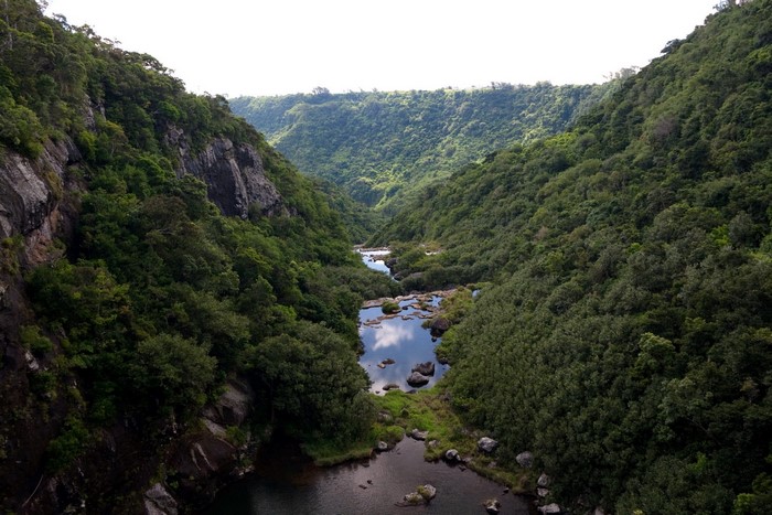 River flowing through a lush green mountain valley