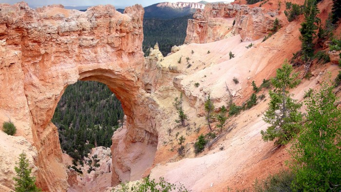 Natural Bridge in Bryce Canyon, Utah, USA