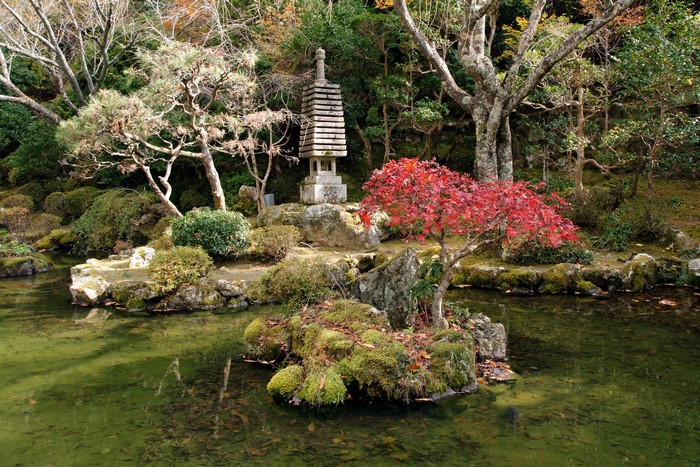 Japanese garden with stone lantern and red maple tree