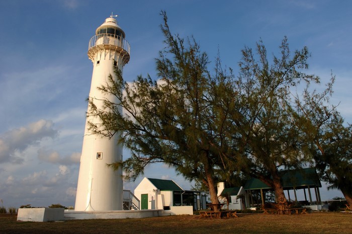 White lighthouse with trees and buildings