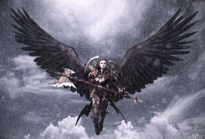 Aion: Tower of Eternity Angel Warrior with Axe