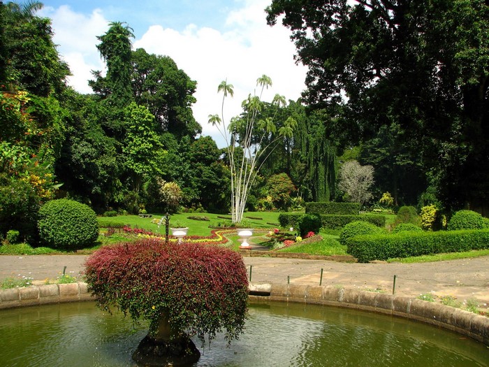 Royal Botanic Gardens, Peradeniya, Kandy, Sri Lanka