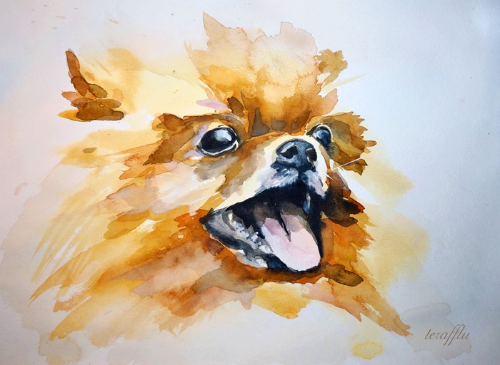 Watercolor painting of a Pomeranian dog