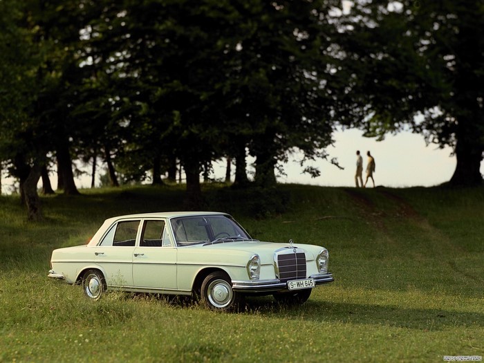 Mercedes-Benz S-Klasse W111 112 in a grassy field