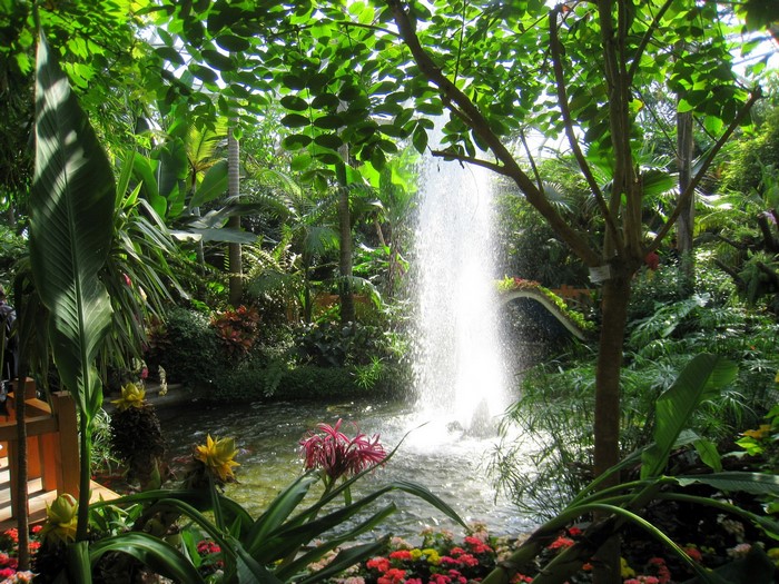 Botanical Gardens with Fountain and Tropical Plants
