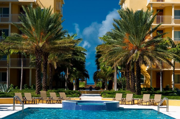 Resort pool with palm trees and ocean view